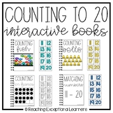 Counting 11 to 20 Adapted Books