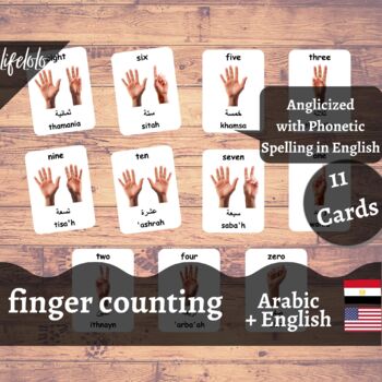 Preview of Counting - ARABIC Flash Cards | Finger Counting | 11 Bilingual Flash Cards