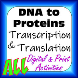 DNA to Protein: Transcription & Translation Print & Digita