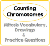 Counting Chromosomes- Mitosis Vocab Slides, Graphic Organi