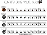 Counting Coins Visual Guide