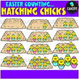 Counting Hatching Chicks Clip Art Set {Educlips Clipart}