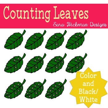Preview of Counting Leaves Clipart