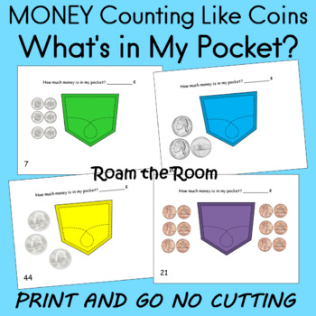 Preview of MONEY Counting Like Coins What's in My Pocket?  Roam the Room Task Cards