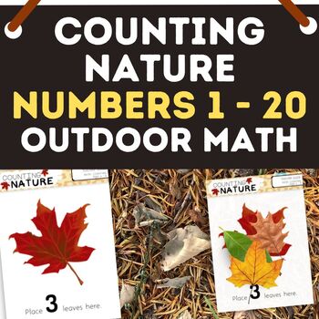 Preview of Counting Nature Mats – Numbers 1 to 20 - Number Recognition