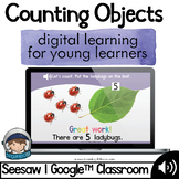 Counting Objects Digital Activity - Distance Learning - Go