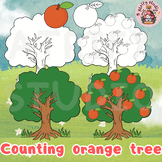 Counting Oranges on a Tree Clip Art, counting collections clipart