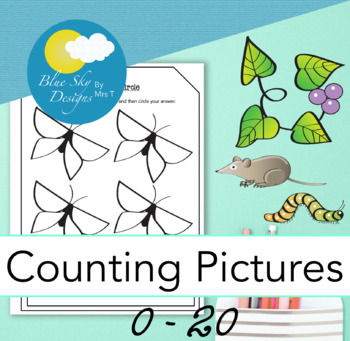 Preview of Counting Pictures to 20