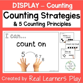Preview of Counting Strategies / Principles of Counting Display Posters