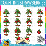 Counting Strawberries 0-10 Clip Art