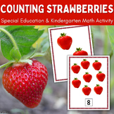 Counting Strawberries Summer Math Activity Special Educati