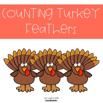 Turkey Feathers - Bird Watching Academy