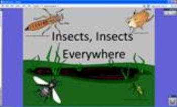Preview of Counting and Shapes using Insects