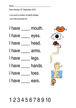 Counting body parts simple worksheet by Natalie Musker | TpT
