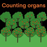 Counting organs