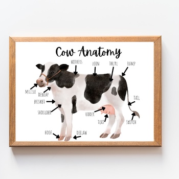 Preview of Cow Anatomy Poster