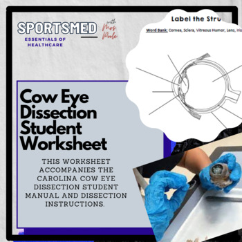 Preview of Cow Eye Dissection Student Worksheet (Essentials of Healthcare, Sensory)