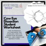 Cow Eye Dissection Student Worksheet (Essentials of Health