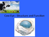 Cow Eye Powerpoint of Parts Structure and Function