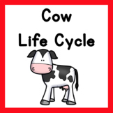 Cow Life Cycle