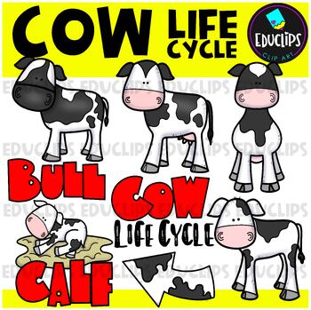 Preview of Cow Life Cycle Clip Art Set {Educlips Clipart}