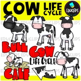 Cow Life Cycle Clip Art Set {Educlips Clipart}