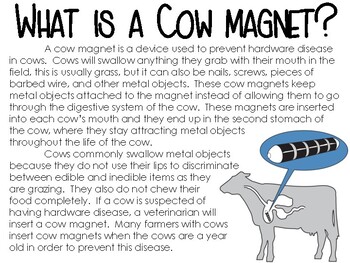 rigdom Alle sammen sekundær Cow Magnets - 4 Science Labs by Smart Chick | TPT