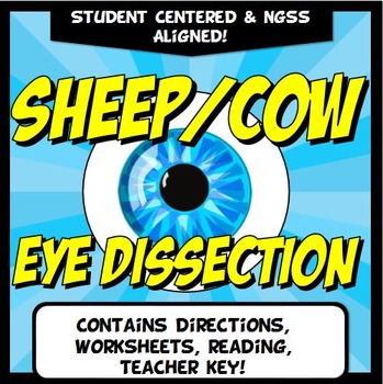 Preview of Cow Sheep Eye Dissection: Middle School Science Lab Nervous System Activity