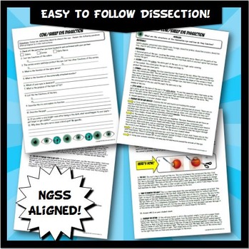 Cow Sheep Eye Dissection l Science Lab Nervous System Activity | TPT