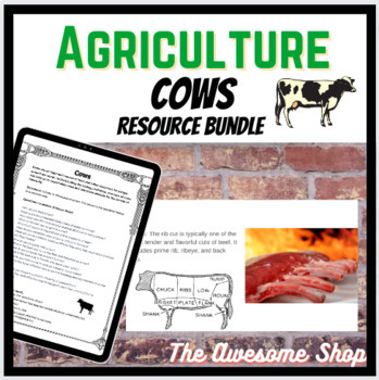 Preview of Cow Supplemental Resource Bundle for Agriculture or Animal Science FFA