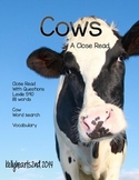 Cows Close Read