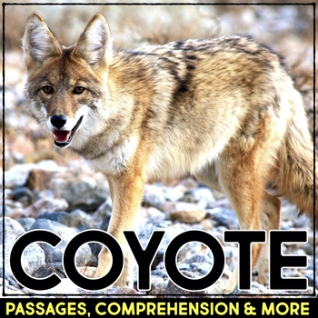 Preview of Coyote Animal Research Nonfiction Reading Passage & Comprehension Activities