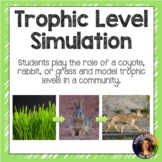 Trophic Level Simulation Activity