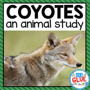 Preview of Coyotes Animal Study