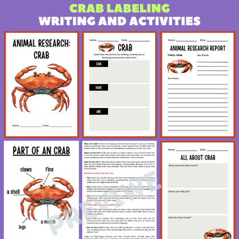 Preview of Crab Animal Research Project Report - Information Report Activities