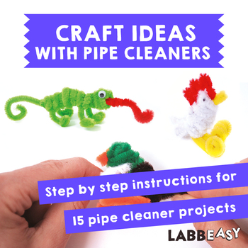 Craft Ideas with Pipe Cleaners: 15 Step by Step Instructions by Labbeasy