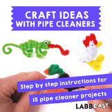 Craft Ideas with Pipe Cleaners: 15 Step by Step Instructions