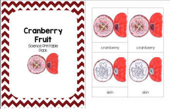 Cranberry Fruit Science Printable Pack