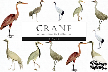 bird crane clip art