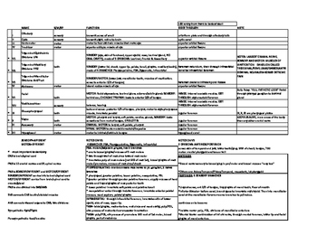 Preview of Cranial & Dental Nerves