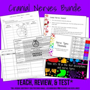 Preview of Cranial Nerves Bundle
