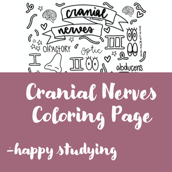 Preview of Cranial Nerves Color Page | SLP Color Page