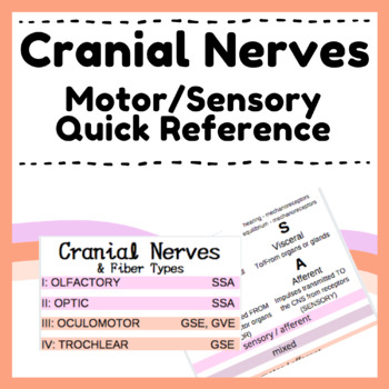 Preview of Cranial Nerves Fibre Types