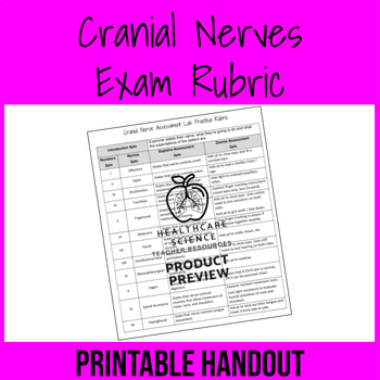 Preview of Cranial Nerves Lab Practical / Exam Rubric