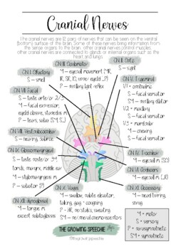 Preview of Cranial Nerves Poster