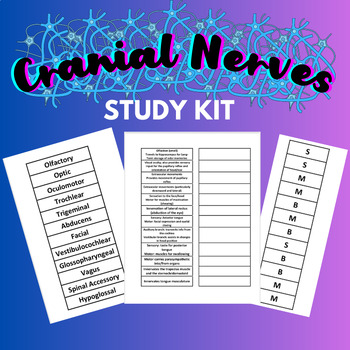 Preview of Cranial Nerves Study Kit | Digital Download