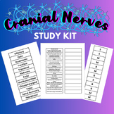 Cranial Nerves Study Kit | Digital Download