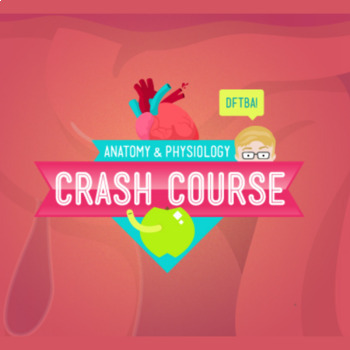 Preview of Crash Course - ALL 47 EPISODES of Anatomy & Physiology Worksheets Bundle