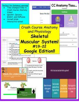 Preview of Crash Course Anatomy Muscle/Skeletal Videos #19-22 Google Ready!