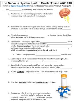 Preview of Crash Course Anatomy & Physiology #10 (The Nervous System, Part 3) worksheet